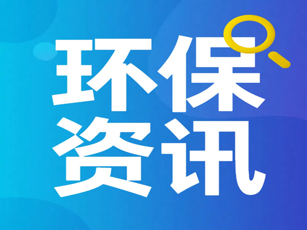DeepSeek线上模型 用五个关键词总结环保行业